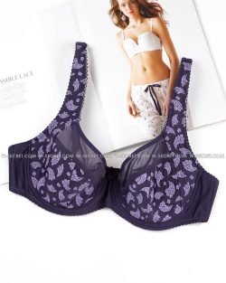 Weiyesi 2117 D Фіолетовий бюстгальтер